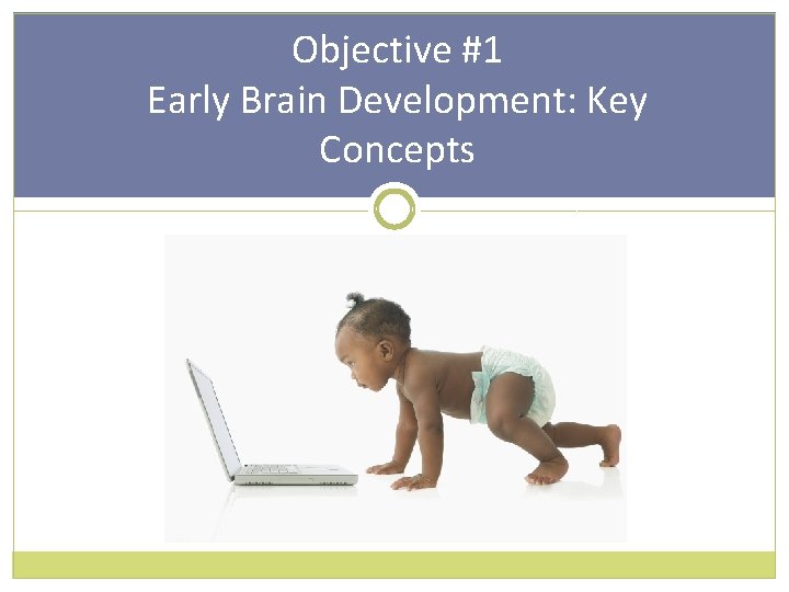 Objective #1 Early Brain Development: Key Concepts 