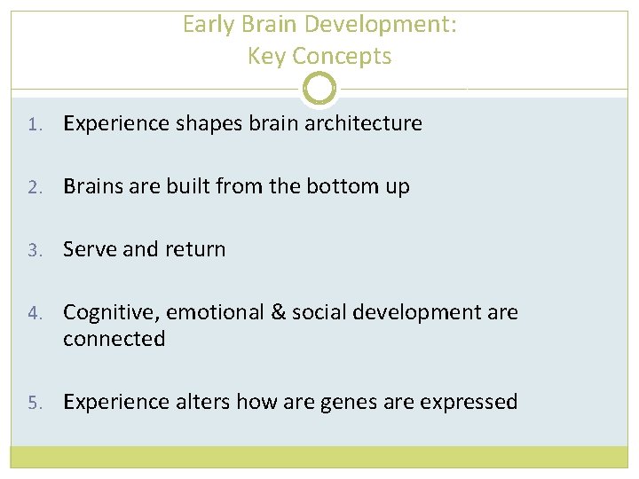 Early Brain Development: Key Concepts 1. Experience shapes brain architecture 2. Brains are built
