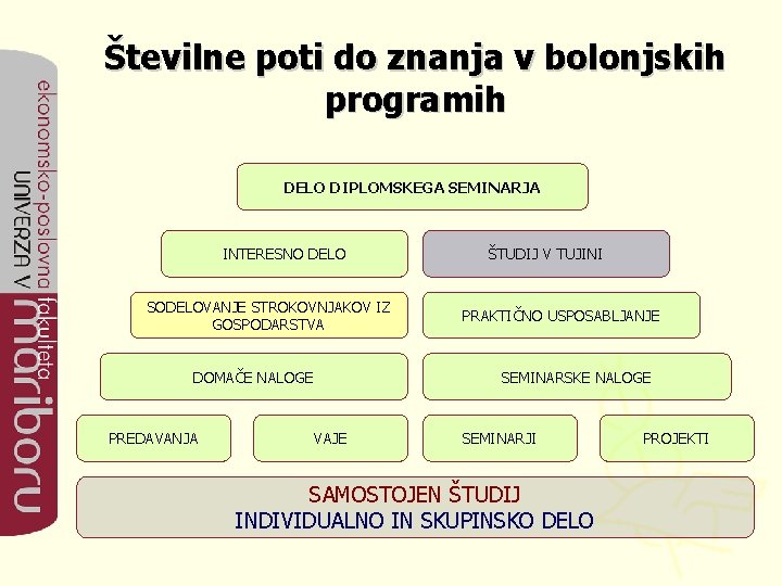 Številne poti do znanja v bolonjskih programih DELO DIPLOMSKEGA SEMINARJA INTERESNO DELO SODELOVANJE STROKOVNJAKOV