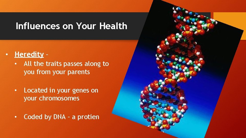 Influences on Your Health • Heredity – • All the traits passes along to
