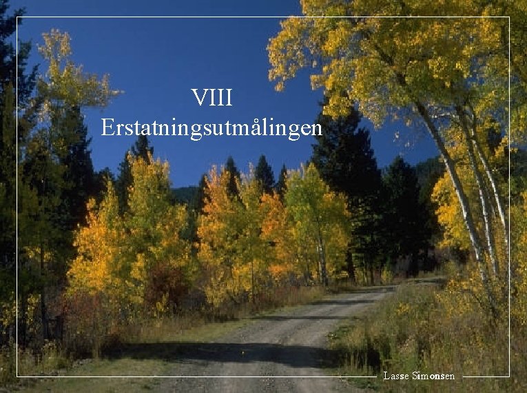 VIII Erstatningsutmålingen Lasse Simonsen 