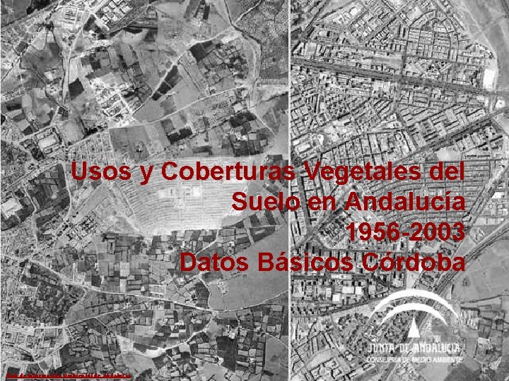 Usos y Coberturas Vegetales del Suelo en Andalucía 1956 -2003 Datos Básicos Córdoba Red