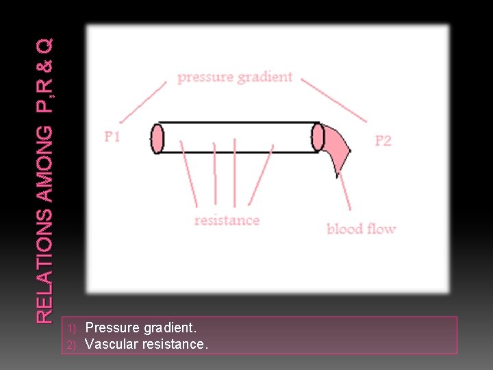RELATIONS AMONG P, R & Q 1) 2) Pressure gradient. Vascular resistance. 