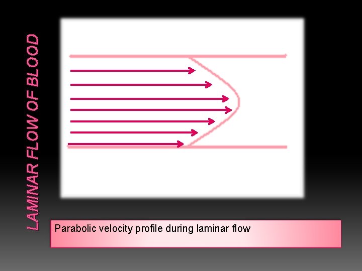 LAMINAR FLOW OF BLOOD Parabolic velocity profile during laminar flow 