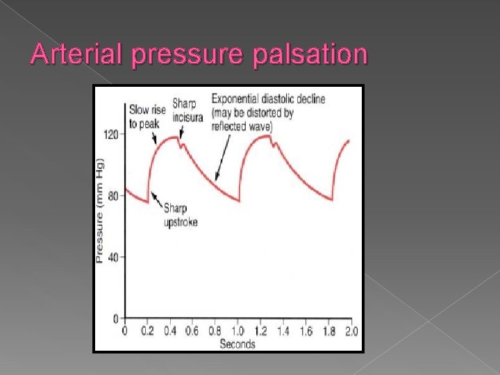 Arterial pressure palsation 