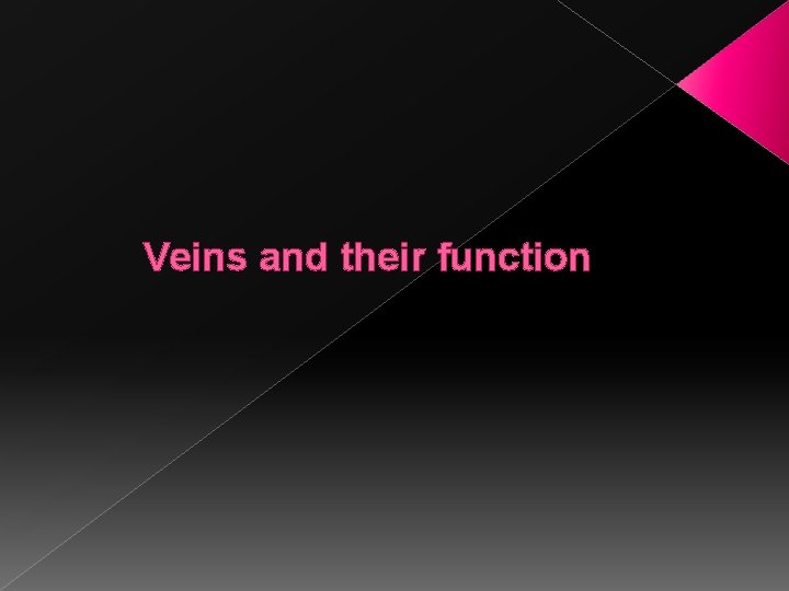 Veins and their function 