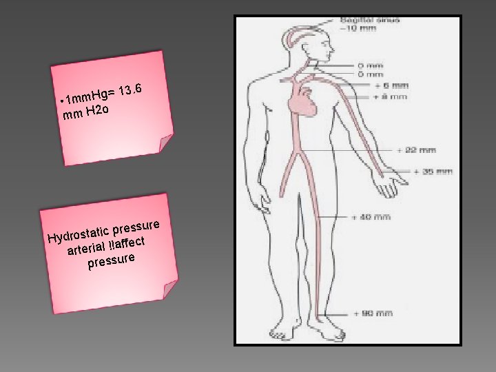 13. 6 = g H m • 1 m o mm H 2 sure