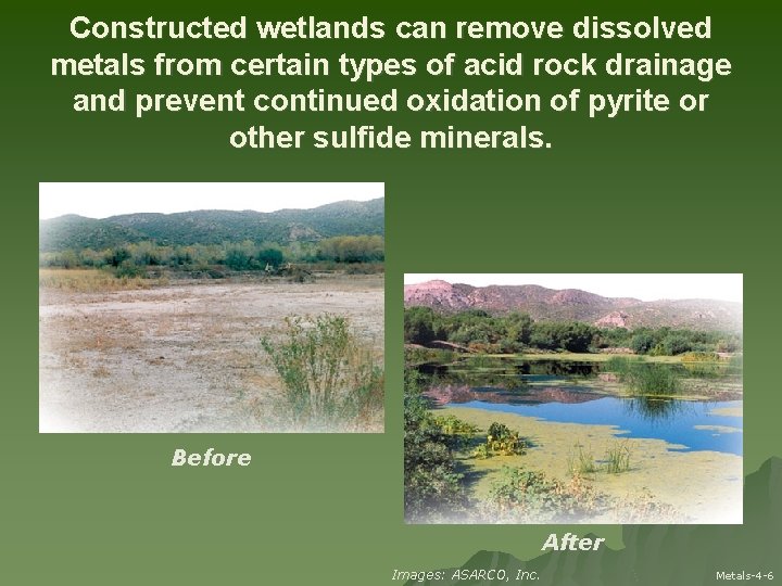 Constructed wetlands can remove dissolved metals from certain types of acid rock drainage and