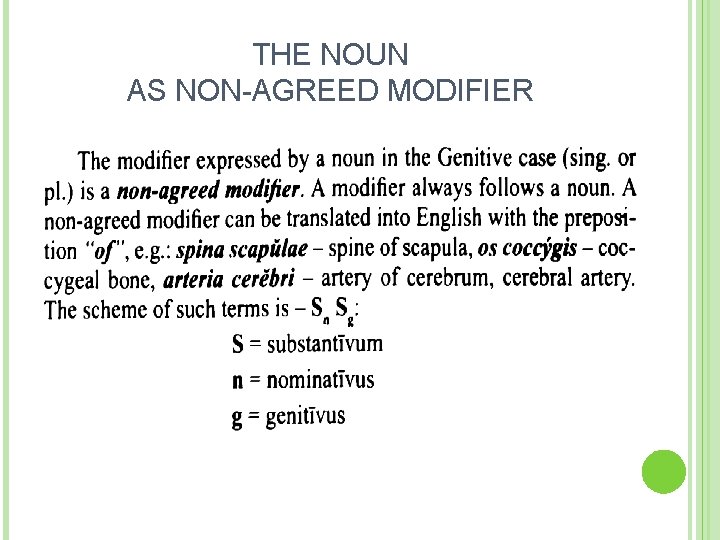 THE NOUN AS NON-AGREED MODIFIER 