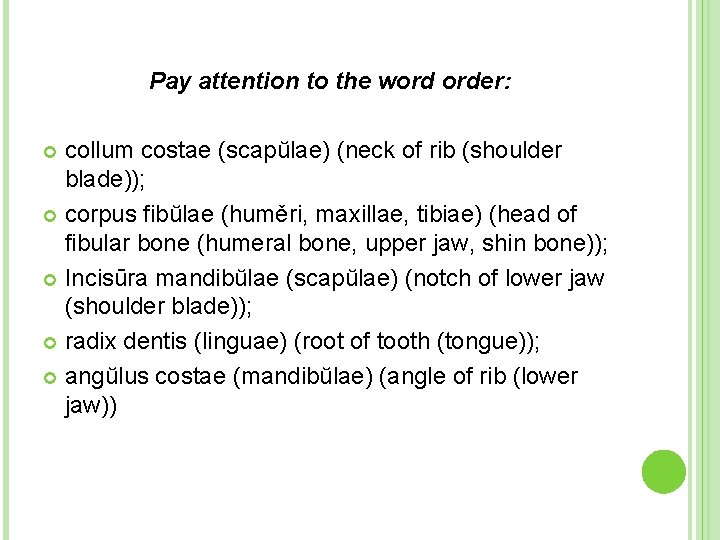 Pay attention to the word order: collum costae (scapŭlae) (neck of rib (shoulder blade));