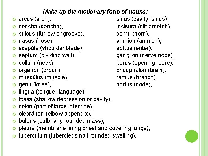  Make up the dictionary form of nouns: arcus (arch), sinus (cavity, sinus), concha