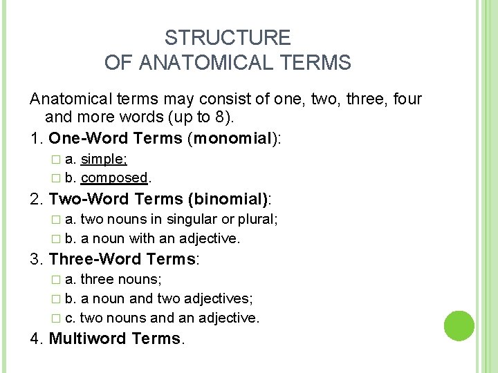 STRUCTURE OF ANATOMICAL TERMS Anatomical terms may consist of one, two, three, four and