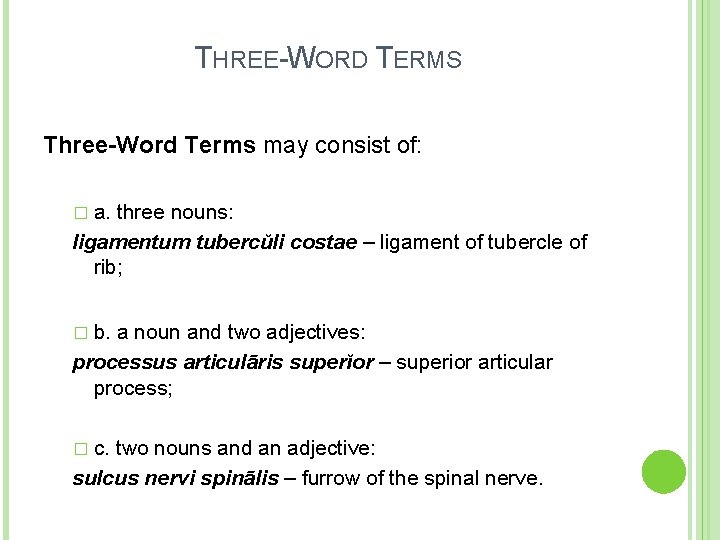 THREE-WORD TERMS Three-Word Terms may consist of: � a. three nouns: ligamentum tubercŭli costae