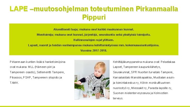 LAPE –muutosohjelman toteutuminen Pirkanmaalla Pippuri Alueellisesti laaja; mukana ovat kaikki maakunnan kunnat. Monitoimija; mukana