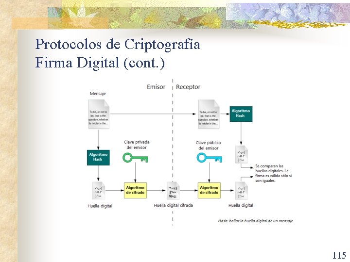 Protocolos de Criptografía Firma Digital (cont. ) 115 