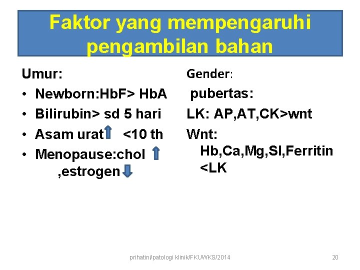 Faktor yang mempengaruhi pengambilan bahan Umur: • Newborn: Hb. F> Hb. A • Bilirubin>