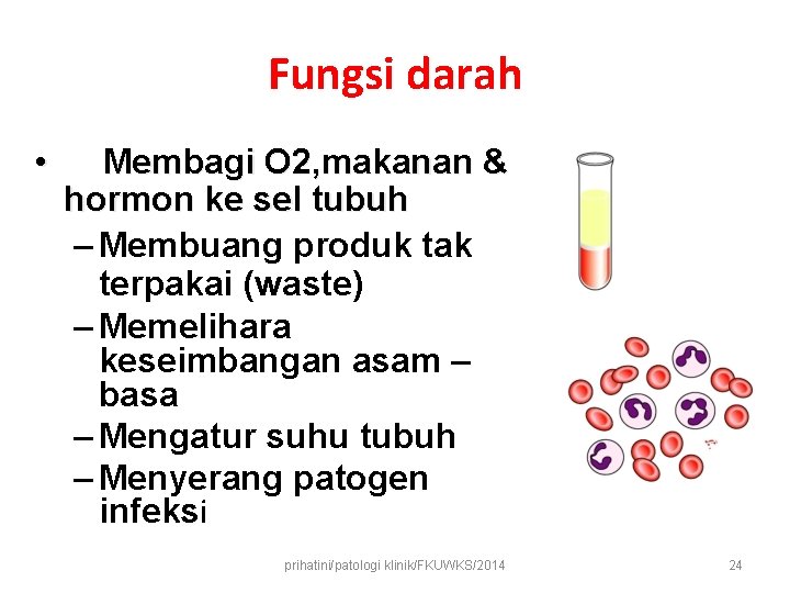 Fungsi darah • Membagi O 2, makanan & hormon ke sel tubuh – Membuang