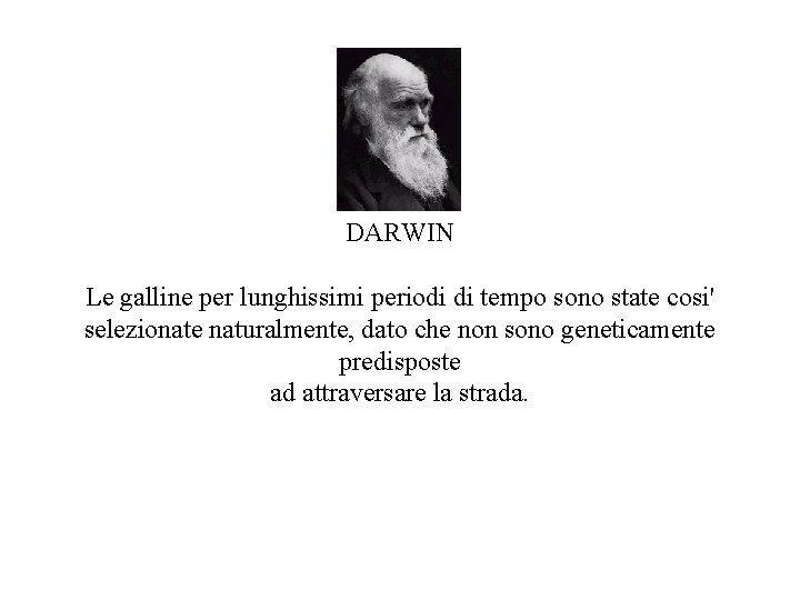 DARWIN Le galline per lunghissimi periodi di tempo sono state cosi' selezionate naturalmente, dato