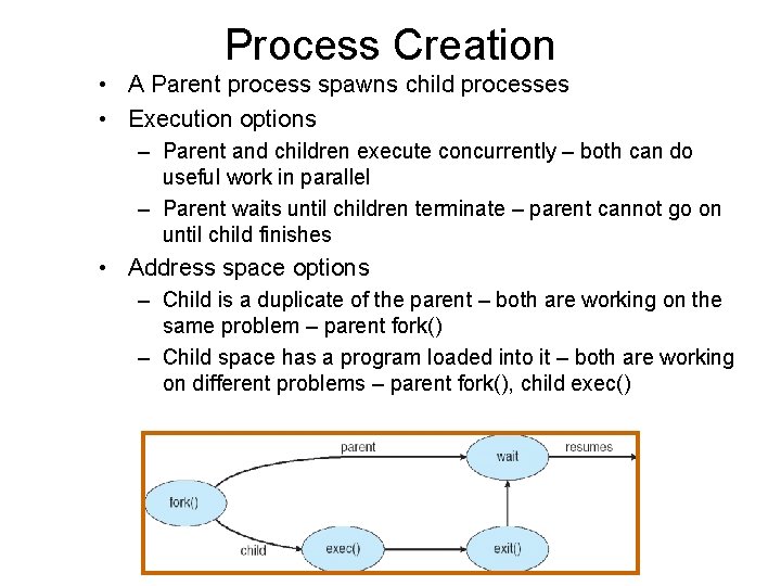 Process Creation • A Parent process spawns child processes • Execution options – Parent