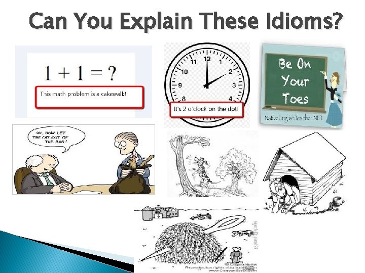Can You Explain These Idioms? 