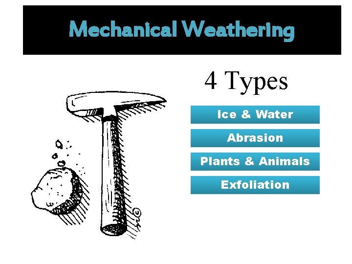 Mechanical Weathering 4 Types Ice & Water Abrasion Plants & Animals Exfoliation 