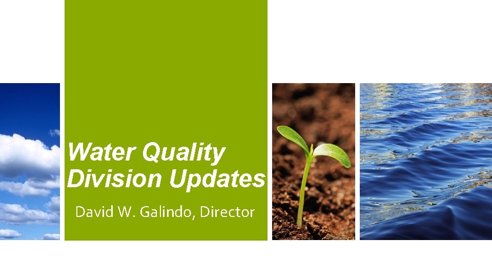 Water Quality Division Updates David W. Galindo, Director 