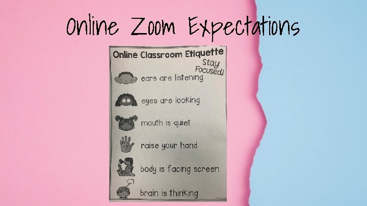 Online Zoom Expectations 