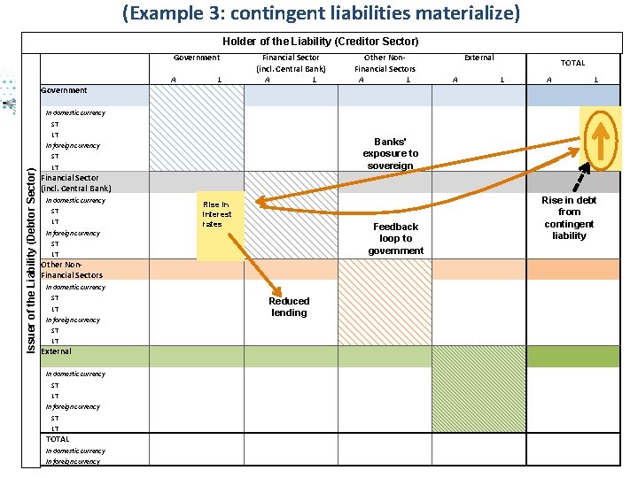 (Example 3: contingent liabilities materialize)Government Finance Division IMF Statistics Department Holder of the Liability