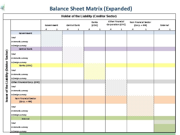 Balance Sheet Matrix (Expanded) Government Finance Division IMF Statistics Department d Holder of the