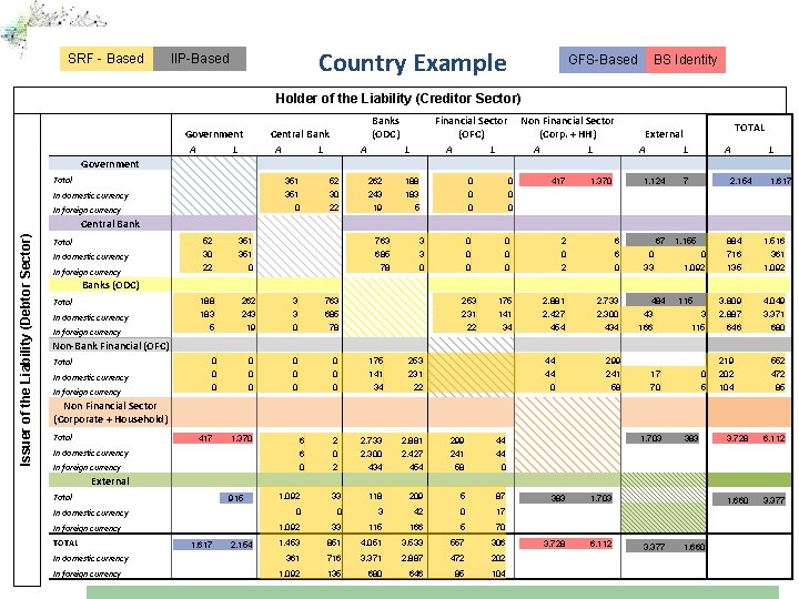 SRF - Based Government Finance Division IMF Statistics Department Country Example IIP-Based GFS-Based BS