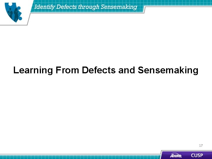 Learning From Defects and Sensemaking 17 