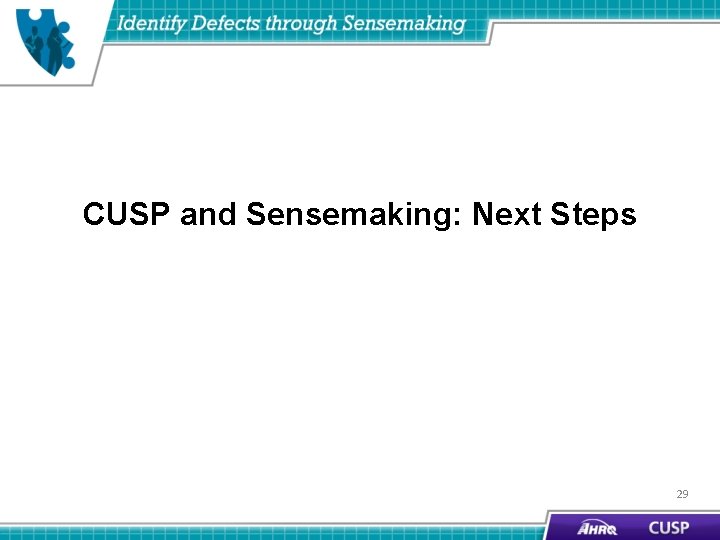 CUSP and Sensemaking: Next Steps 29 