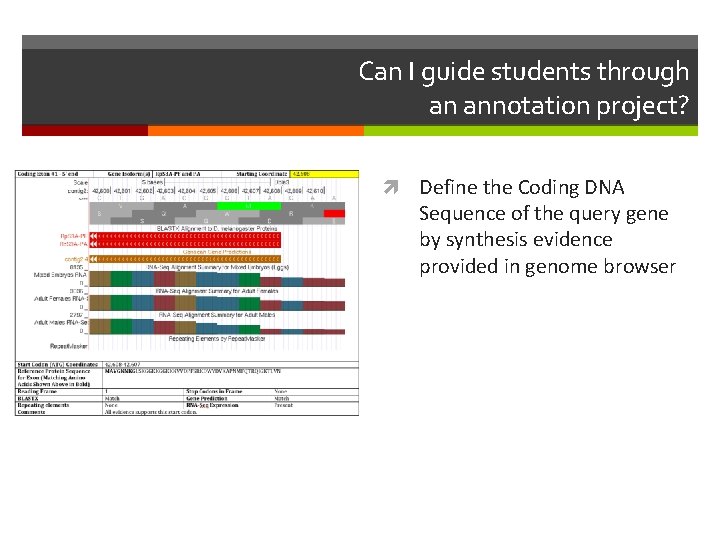 Can I guide students through an annotation project? Define the Coding DNA Sequence of