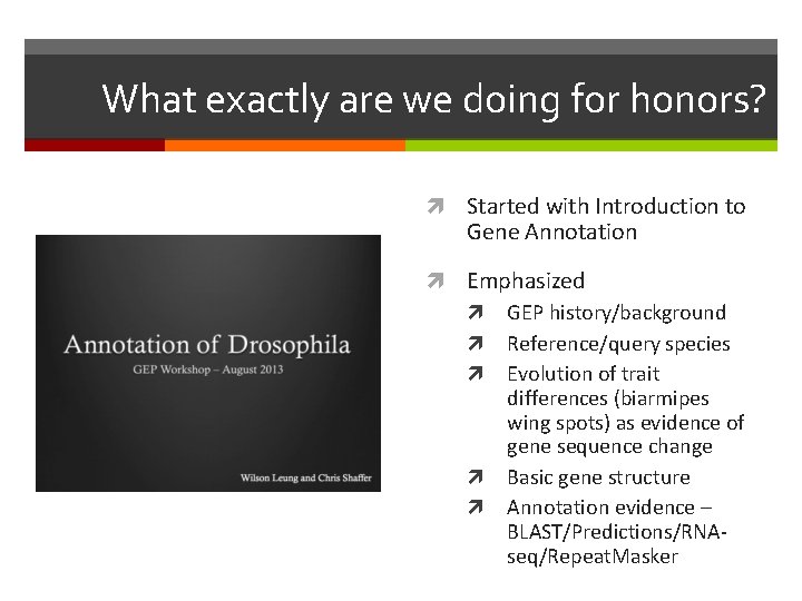 What exactly are we doing for honors? Started with Introduction to Gene Annotation Emphasized