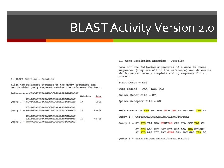 BLAST Activity Version 2. 0 