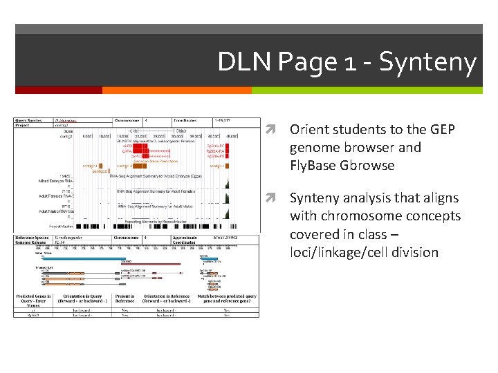 DLN Page 1 - Synteny Orient students to the GEP genome browser and Fly.