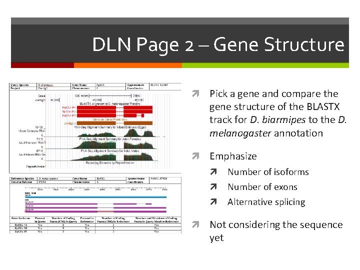 DLN Page 2 – Gene Structure Pick a gene and compare the gene structure
