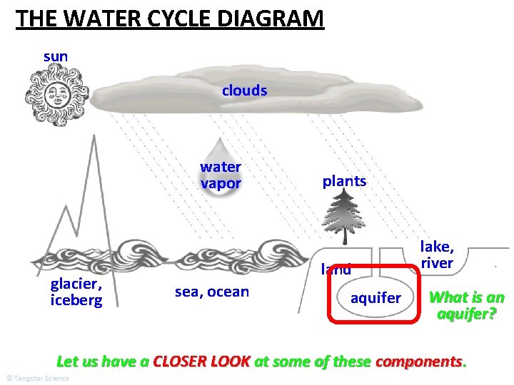 THE WATER CYCLE DIAGRAM sun clouds water vapor glacier, iceberg plants land sea, ocean