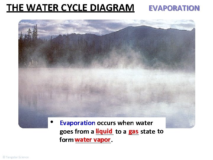 THE WATER CYCLE DIAGRAM • EVAPORATION Evaporation occurs when water gas state to goes