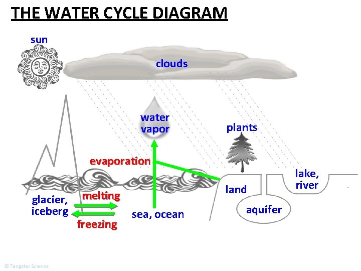 THE WATER CYCLE DIAGRAM sun clouds water vapor plants evaporation glacier, iceberg land melting