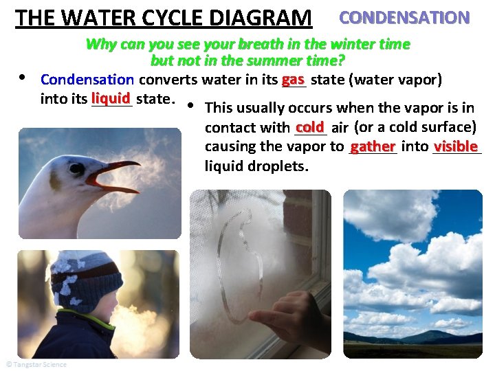 THE WATER CYCLE DIAGRAM • CONDENSATION Why can you see your breath in the