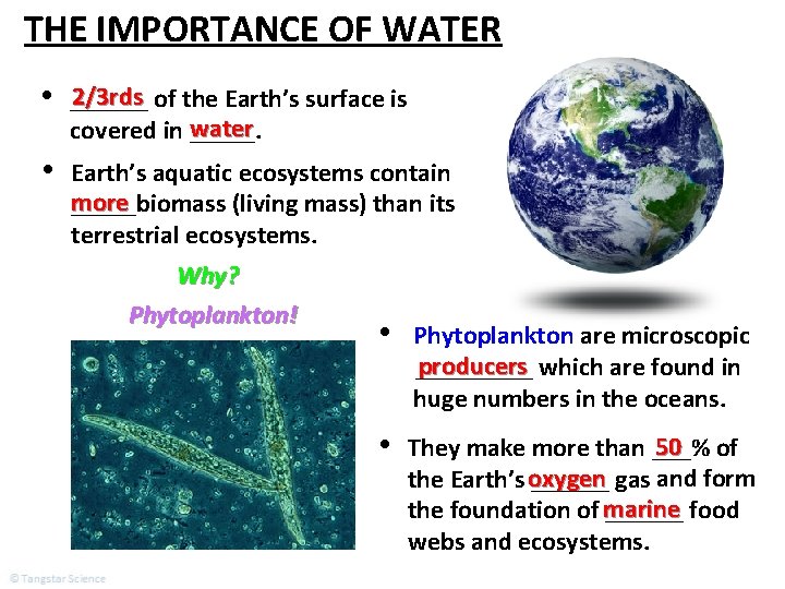 THE IMPORTANCE OF WATER • 2/3 rds of the Earth’s surface is ______ water