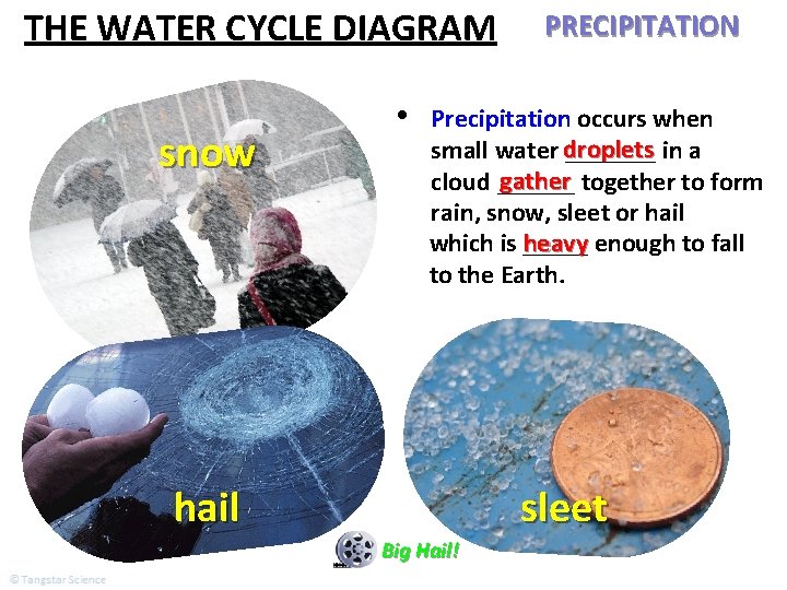 THE WATER CYCLE DIAGRAM snow • PRECIPITATION Precipitation occurs when small water droplets _______