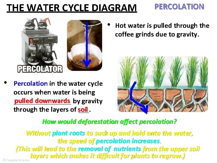 THE WATER CYCLE DIAGRAM • • PERCOLATION Hot water is pulled through the coffee
