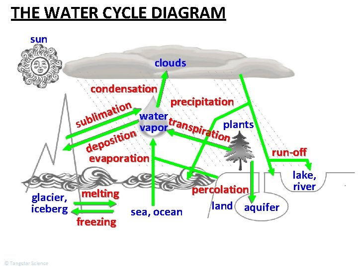 THE WATER CYCLE DIAGRAM sun clouds condensation precipitation n o i t a watertr