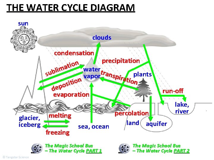 THE WATER CYCLE DIAGRAM sun clouds condensation precipitation n o i t a watertr