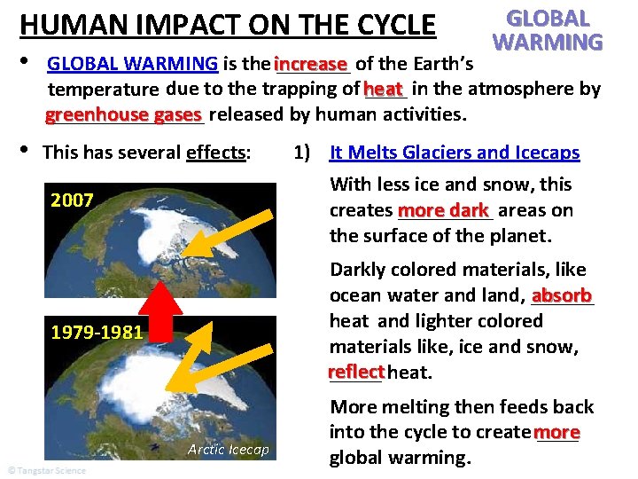 HUMAN IMPACT ON THE CYCLE GLOBAL WARMING • GLOBAL WARMING is the increase _______