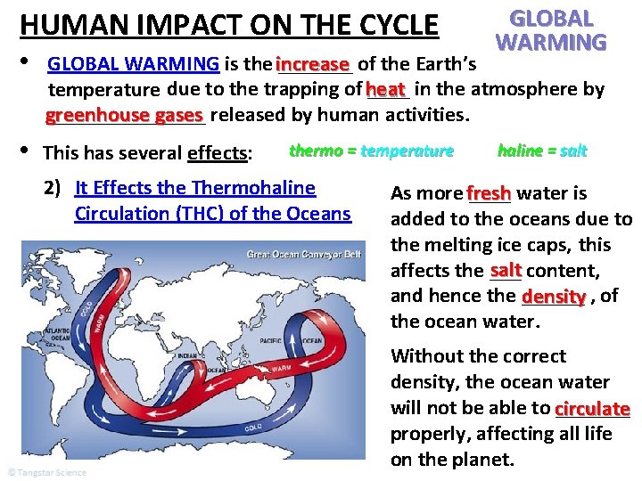HUMAN IMPACT ON THE CYCLE GLOBAL WARMING • GLOBAL WARMING is the increase _______