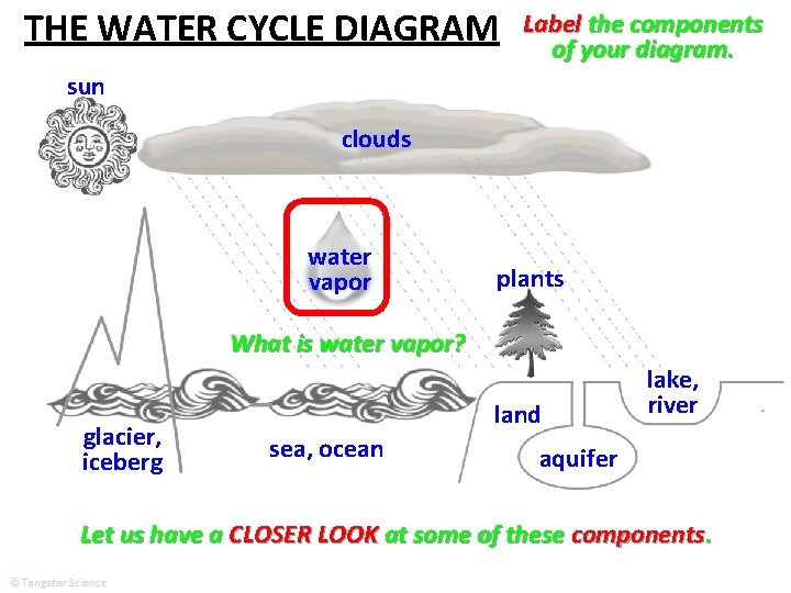 THE WATER CYCLE DIAGRAM Label the components of your diagram. sun clouds water vapor