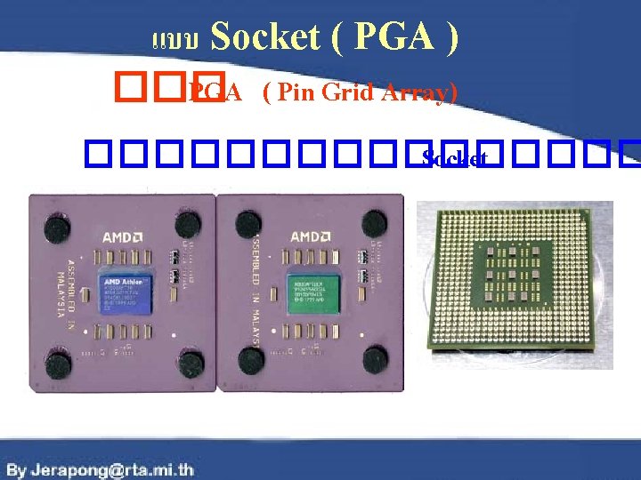 แบบ Socket ( PGA ) ��� PGA ( Pin Grid Array) �������� Socket 
